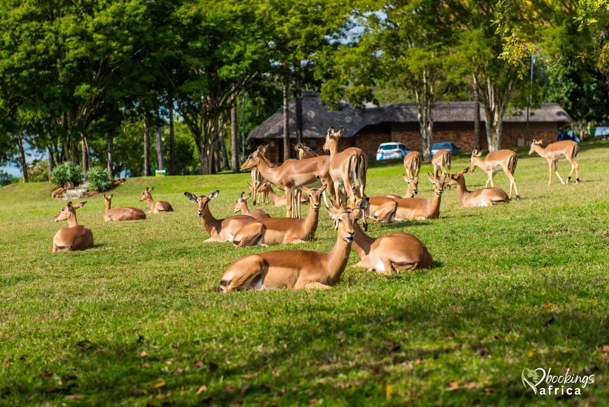 Kruger Park Lodge Unit No 441 With Private Pool เฮซีวิว ภายนอก รูปภาพ